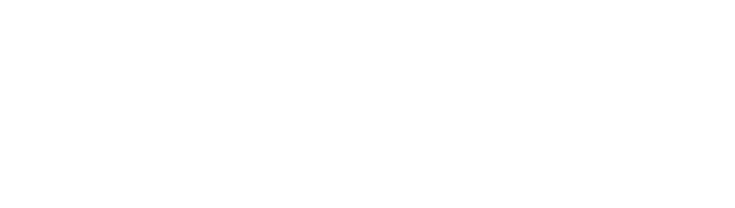 logoipsum-4.png